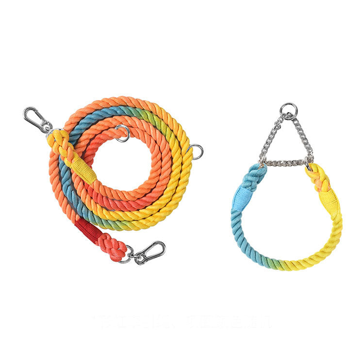 Twisted Double Head Pet Leash and Collar Set