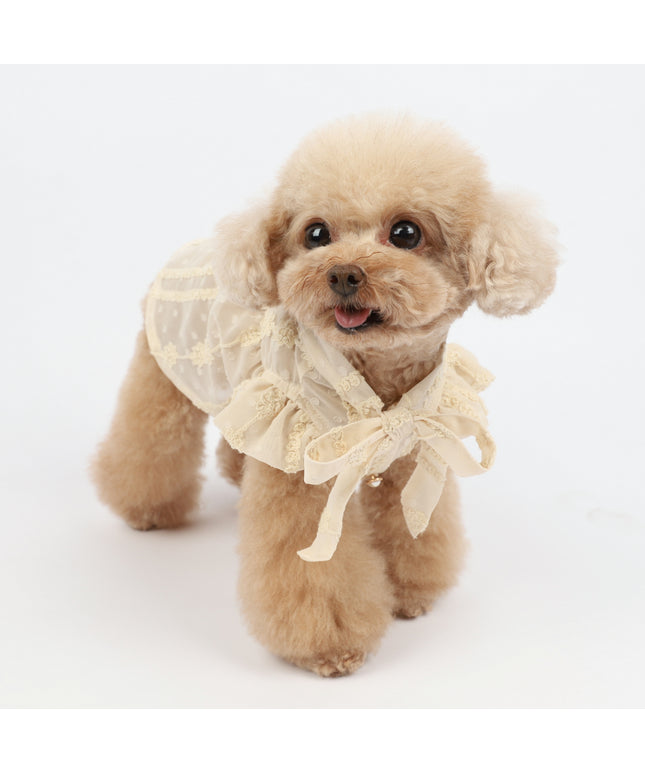 Small dog in lace dress.