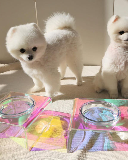Iridescent Acrylic Pet Feeder