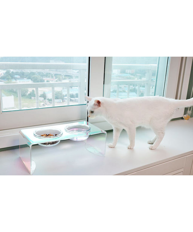 Iridescent Acrylic Pet Feeder