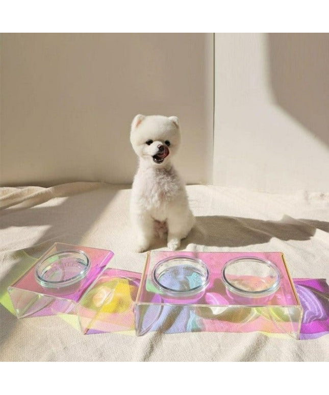 Iridescent Acrylic Pet Feeder