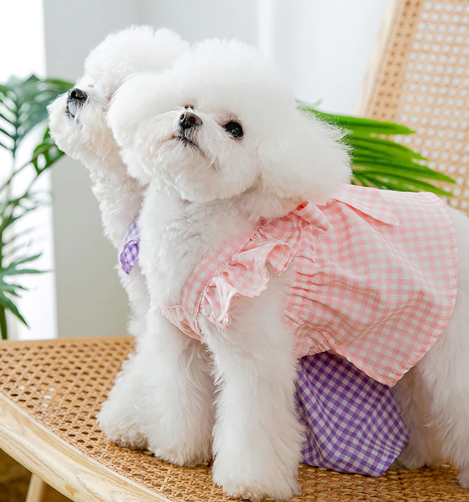 Summer Pullover Gingham Dog Dress