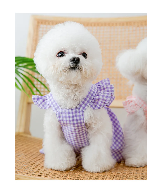 Summer Pullover Gingham Dog Dress