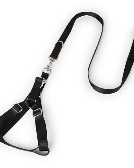 Earth Tone Alloy Buckle Nylon Dog Harness and Leash Set