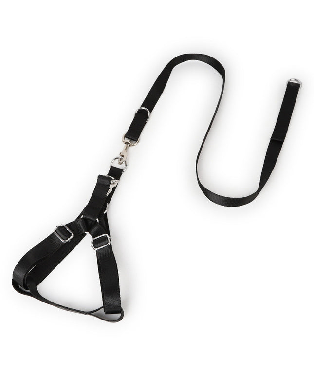 Earth Tone Alloy Buckle Nylon Dog Harness and Leash Set
