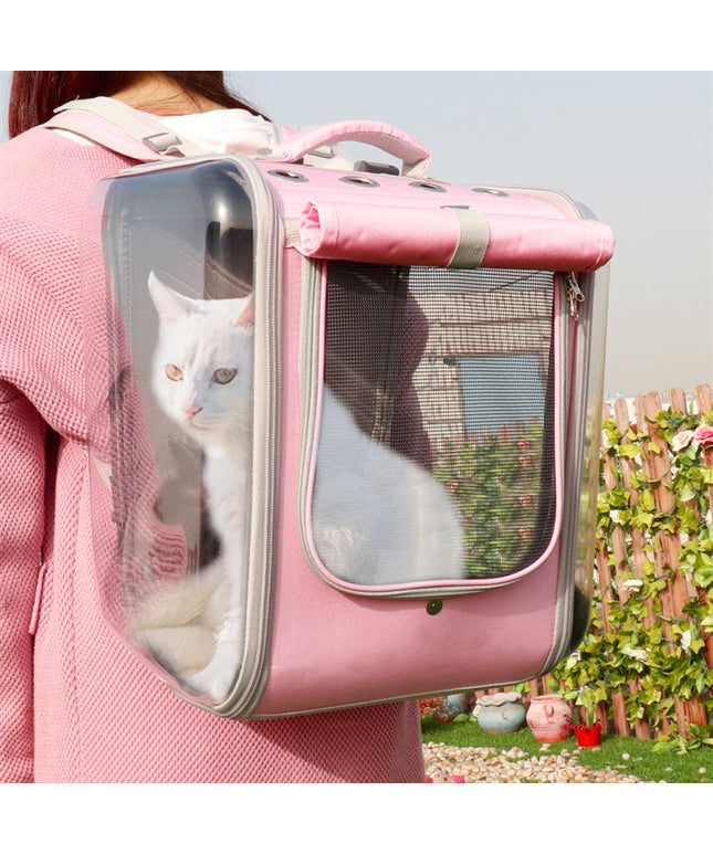 White cat in transparent pet carrier backpack.