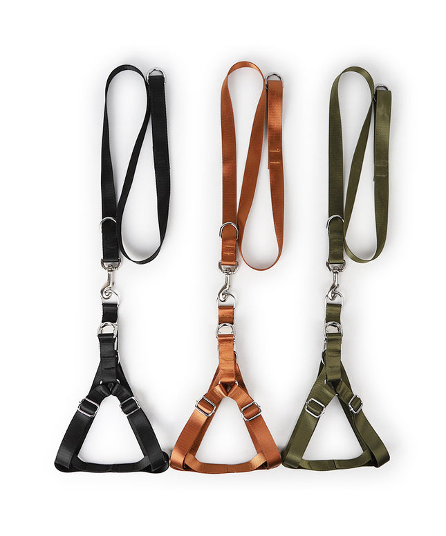 Earth Tone Alloy Buckle Nylon Dog Harness and Leash Set