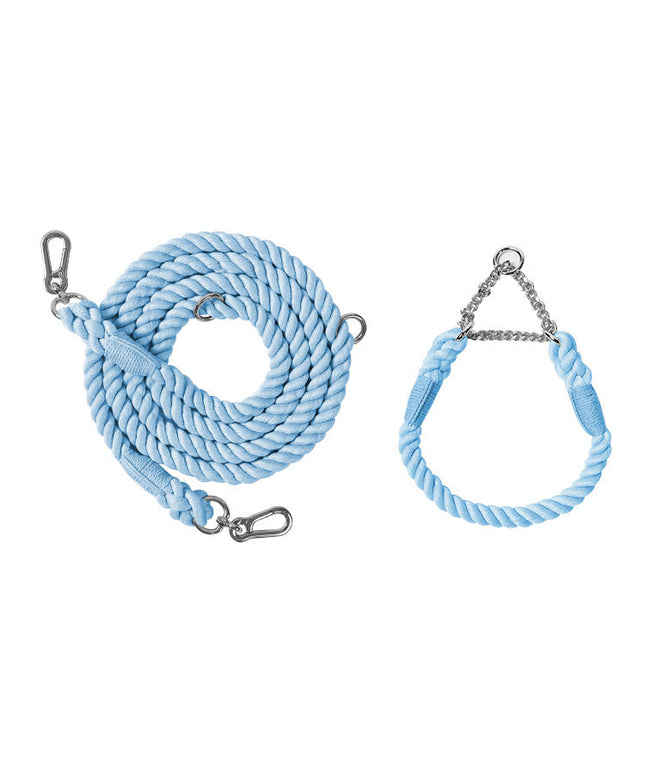 Twisted Double Head Pet Leash and Collar Set