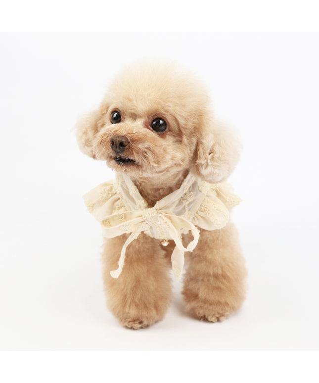 Embroidered Chiffon Pet Dress