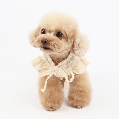 Embroidered Chiffon Pet Dress