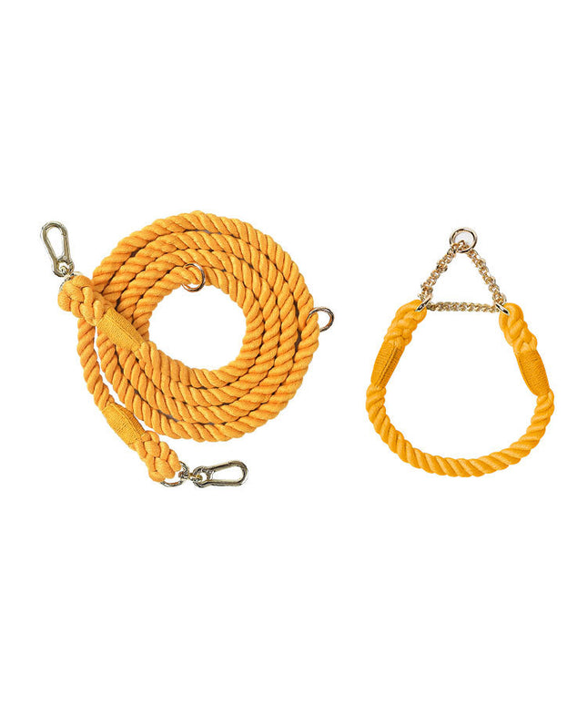 Twisted Double Head Pet Leash and Collar Set