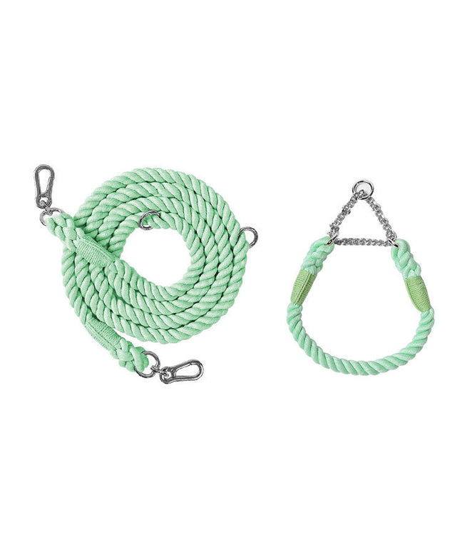 Twisted Double Head Pet Leash and Collar Set