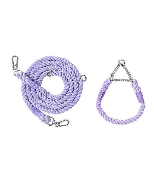 Twisted Double Head Pet Leash and Collar Set