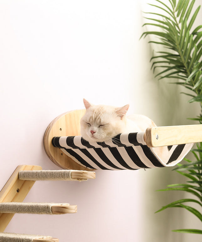 Wooden Wall Mounted Cat Hammock and Stairs